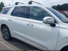Hyundai PALISADE Calligraphy Image 13
