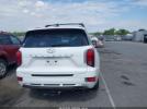 Hyundai PALISADE Calligraphy Image 16