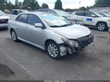  Salvage Toyota Corolla