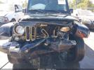 Jeep Wrangler Dragon Edition Image 11