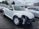 Volkswagen Beetle Image 1