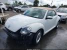 Volkswagen Beetle Image 4