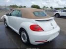 Volkswagen Beetle Image 2