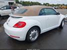 Volkswagen Beetle Image 3