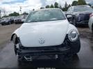 Volkswagen Beetle Image 6