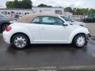 Volkswagen Beetle Image 11