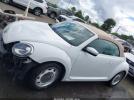Volkswagen Beetle Image 19