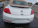 Volkswagen Beetle Image 8