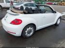 Volkswagen Beetle Image 17