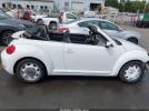 Volkswagen Beetle Image 12