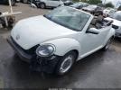 Volkswagen Beetle Image 15