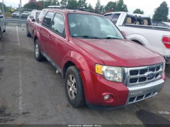  Salvage Ford Escape
