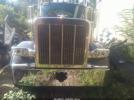 Peterbilt 589 Image 13