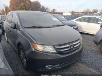  Salvage Honda Odyssey