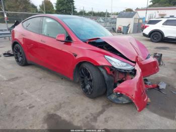  Salvage Tesla Model Y