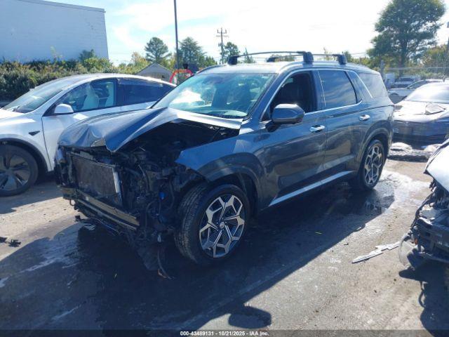 Hyundai PALISADE Calligraphy Image 2