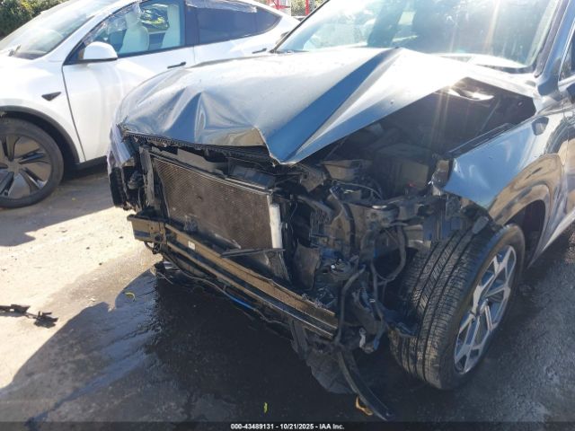 Hyundai PALISADE Calligraphy Image 3