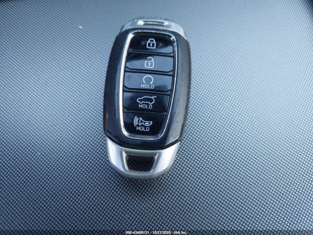 Hyundai PALISADE Calligraphy Image 13