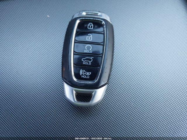 Hyundai PALISADE Calligraphy Image 13