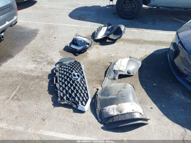 Hyundai PALISADE Calligraphy Image 10