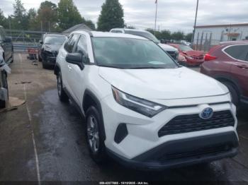  Salvage Toyota RAV4