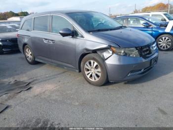 Salvage Honda Odyssey