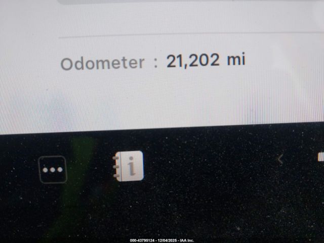 Tesla Model Y Image 13