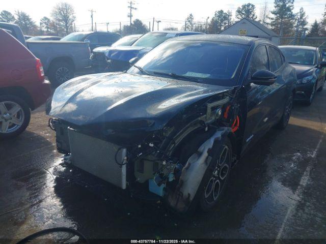 Ford Mustang Gt Image 10
