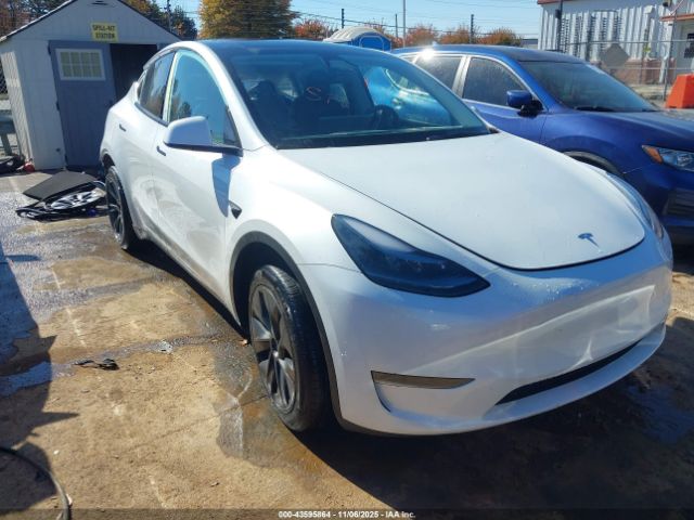 Tesla Model Y Image 1