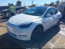 Tesla Model Y Image 5