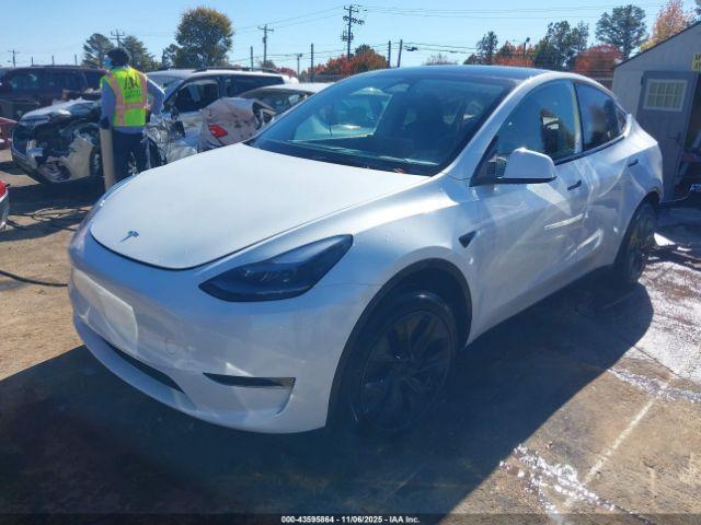 Tesla Model Y Image 5