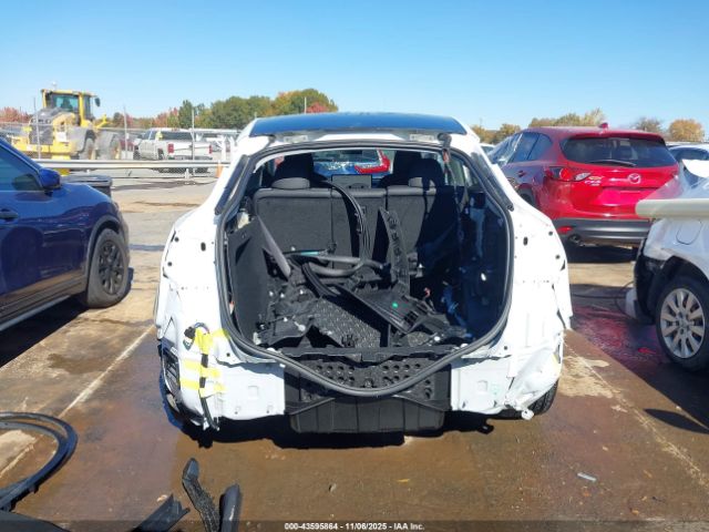 Tesla Model Y Image 4