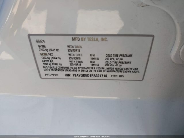 Tesla Model Y Image 7