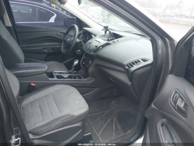 Ford Escape S Image 5