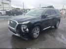 Hyundai PALISADE Sel Image 2