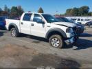 Ford F-150 Image 1