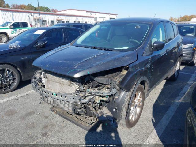 Ford Escape Se Image 7