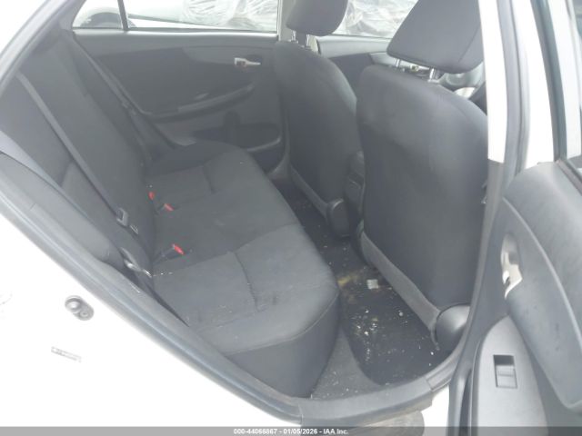 Toyota Corolla S Image 2