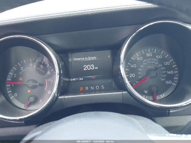 Ford Mustang Ecoboost Image 5