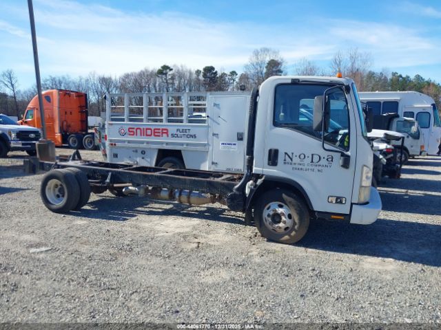 Isuzu Dsl Reg Image 9