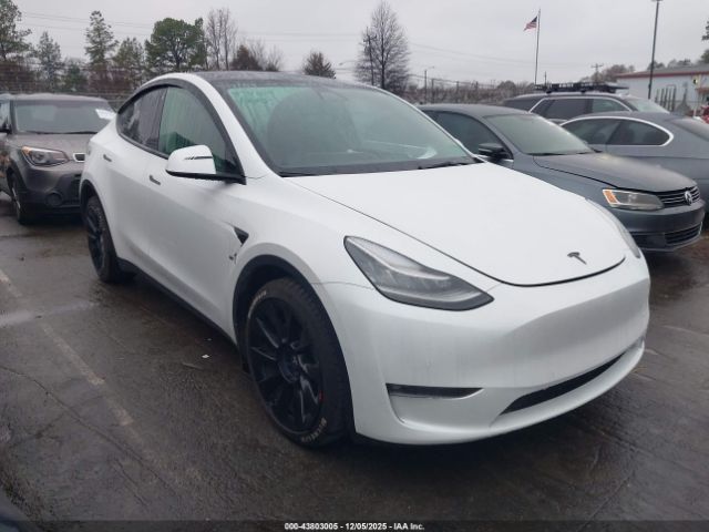 Tesla Model Y Long Range Dual Motor All-wheel Drive Image 1