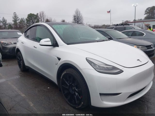 Tesla Model Y Long Range Dual Motor All-wheel Drive Image 6