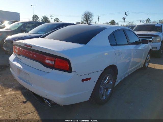 Dodge Charger Image 3