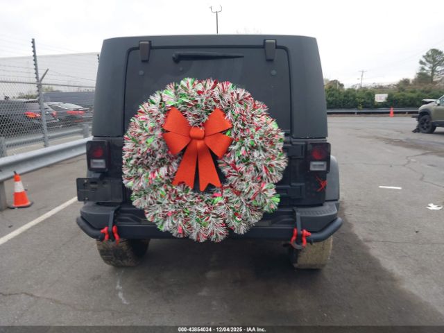 Jeep Wrangler Backcountry Image 5