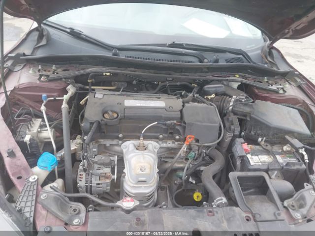 Honda Accord Ex-l Image 11