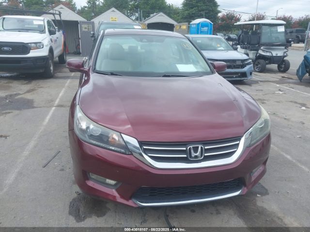 Honda Accord Ex-l Image 12