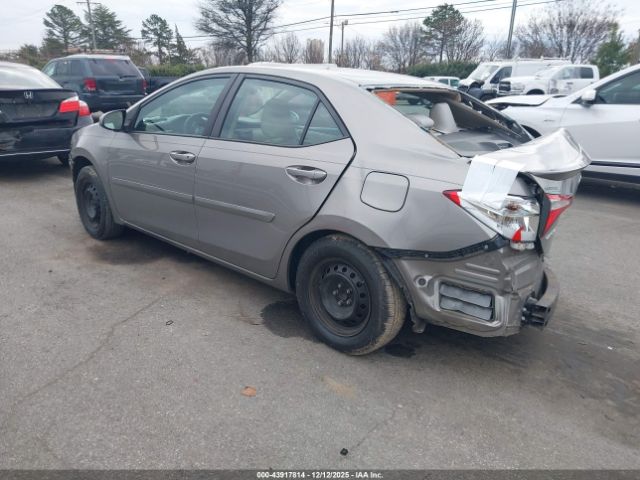 Toyota Corolla Le Eco Image 2